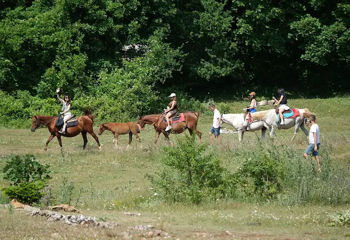 On horseback among olive groves and vineyards