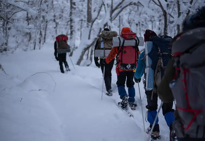 Escursionisti con le ciaspole in un bosco innevato
