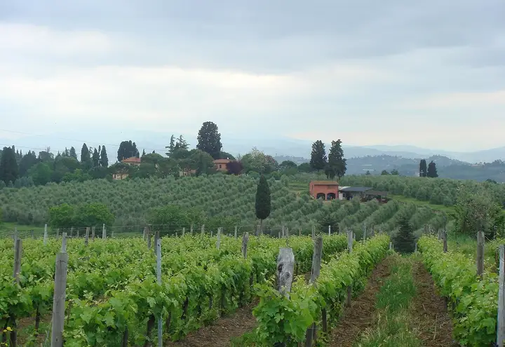 The wineries of Chianti